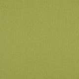 Kensington Plain Roller Blind Vine