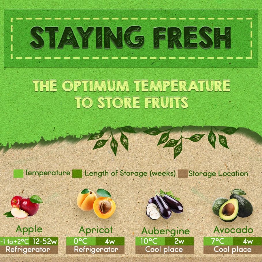 Staying Fresh: The Optimum Temperature to Store Fruits