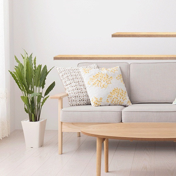 How Does Clutter Affect Your Health?