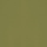 Elements Blackout Roller Blind Avacado